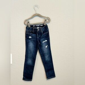 Cat & Jack Toddler Girl Size 5T
Blue Jeans Adjustable Waist Holes